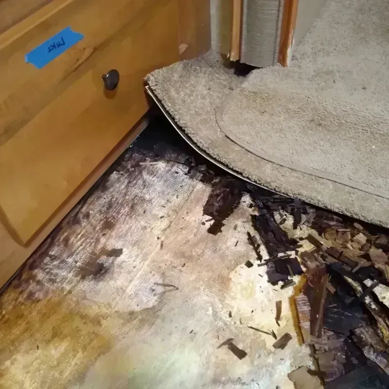 Best Wood Floor Water Damage Service in New Richmond, WI